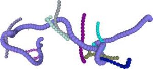 درهم‌تنیدگی (Entanglement) در ساختار پلیمر